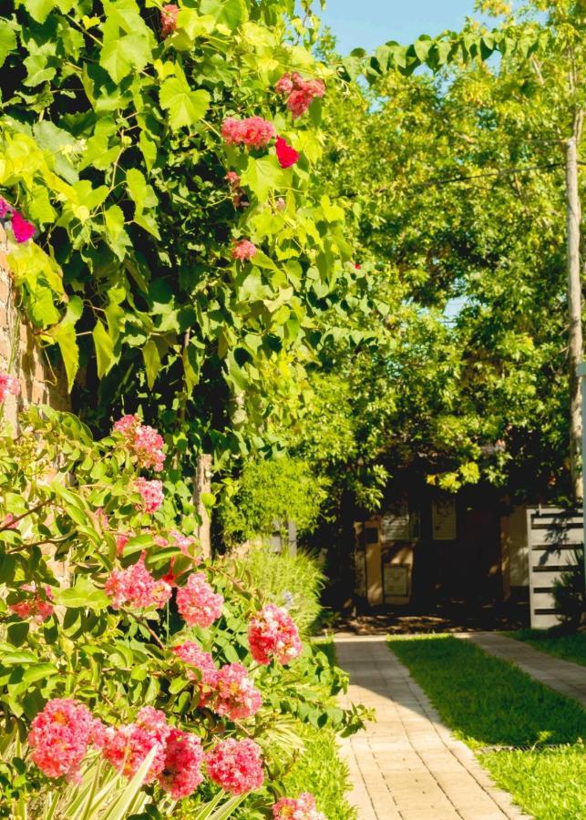 Apartament Vina Villa Elisa  Zewnętrze zdjęcie